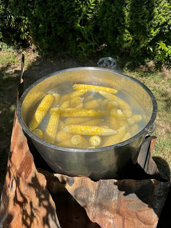 A large pot of corn on the cob boiling outdoors